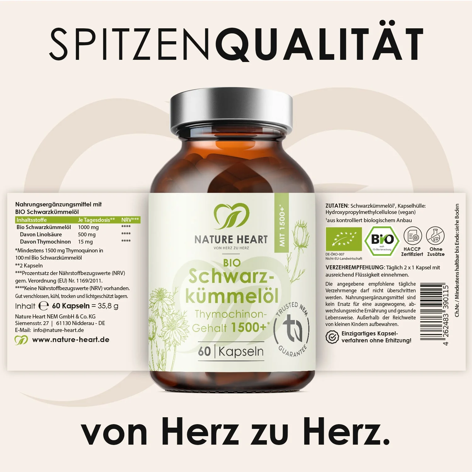 Vorschaubild 7