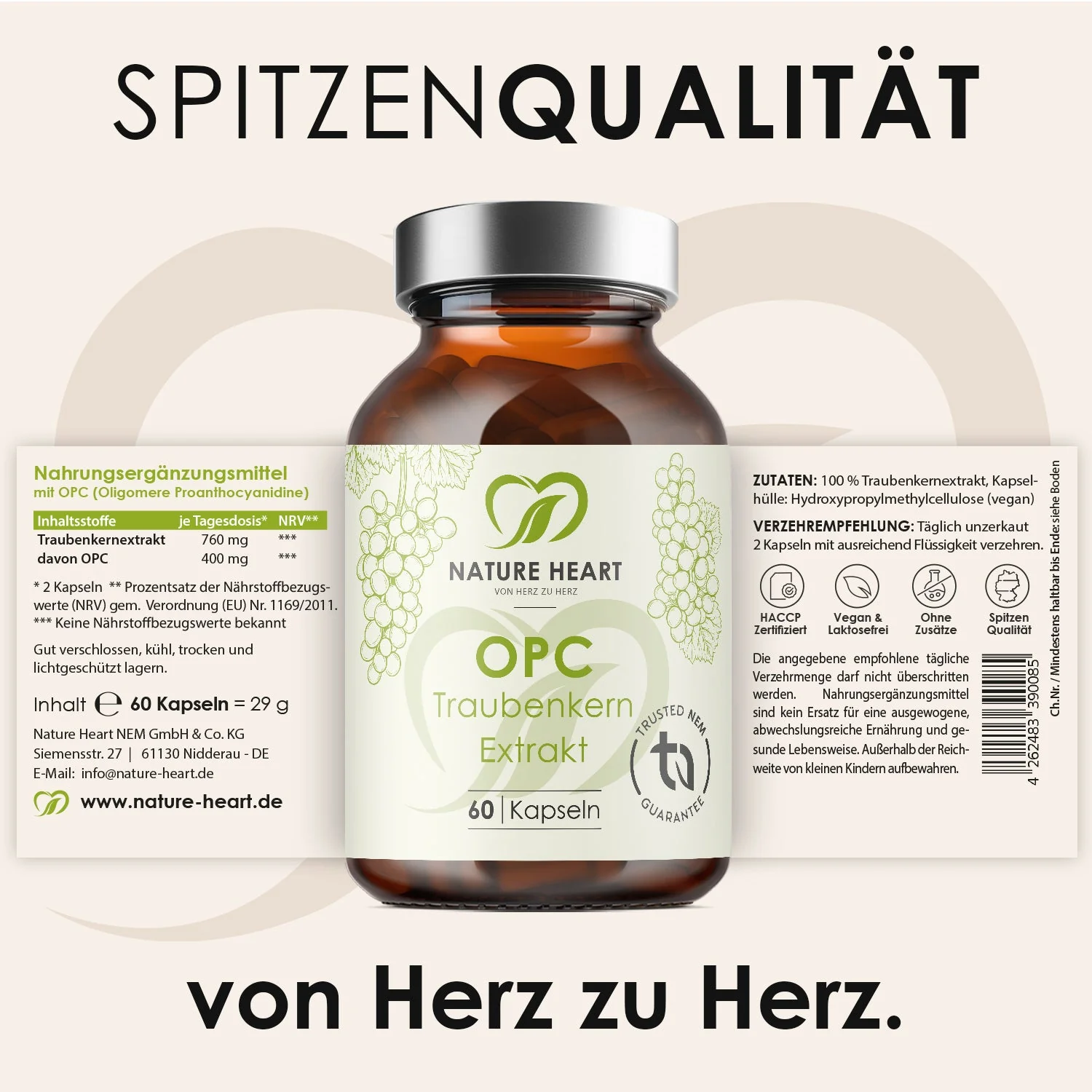 Vorschaubild 7