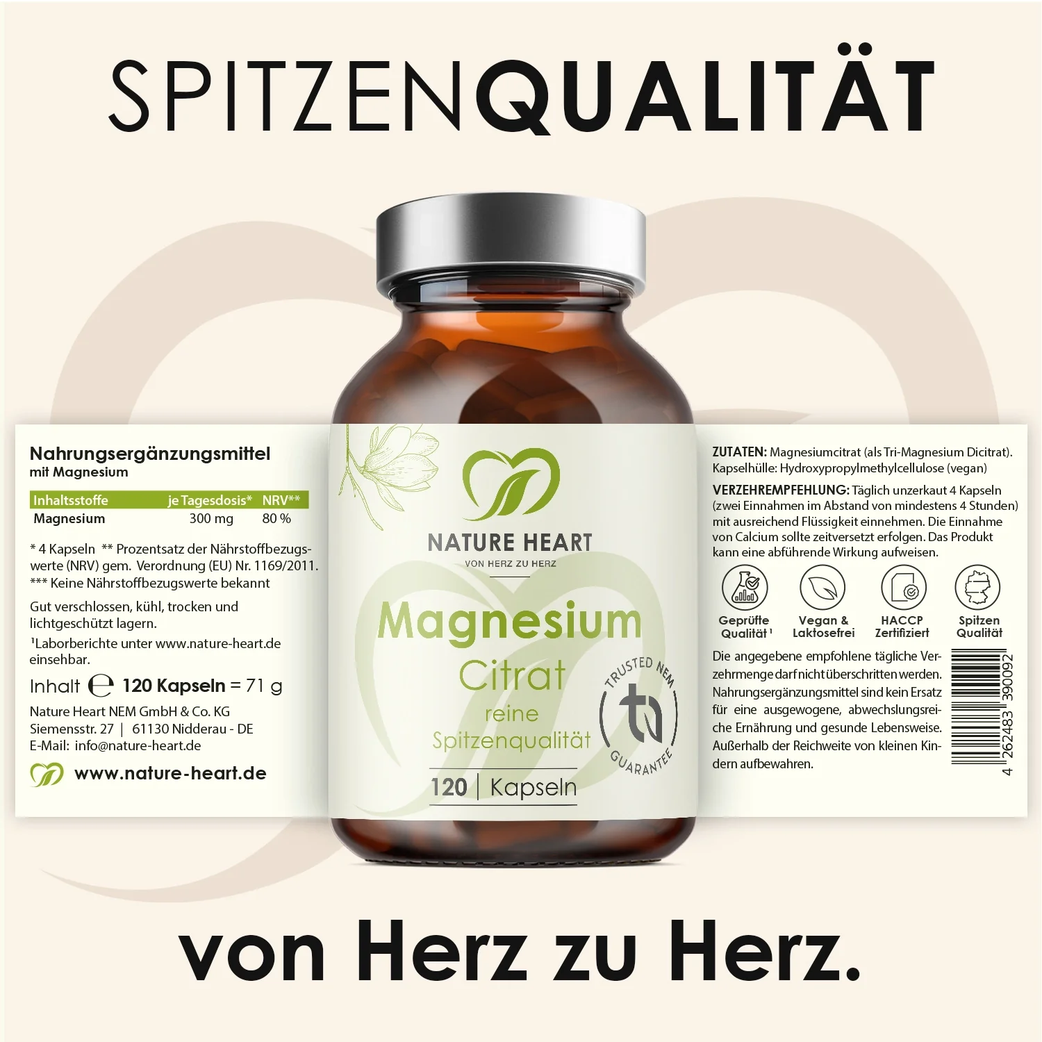 Vorschaubild 4