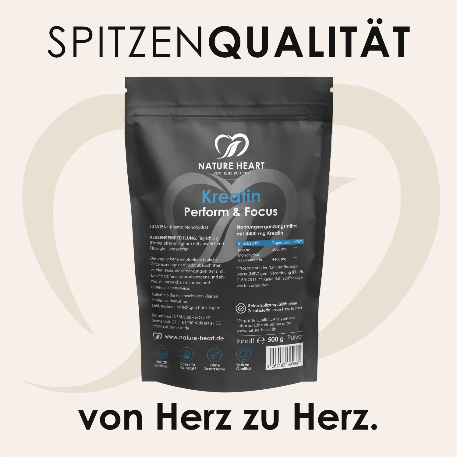 Vorschaubild 8