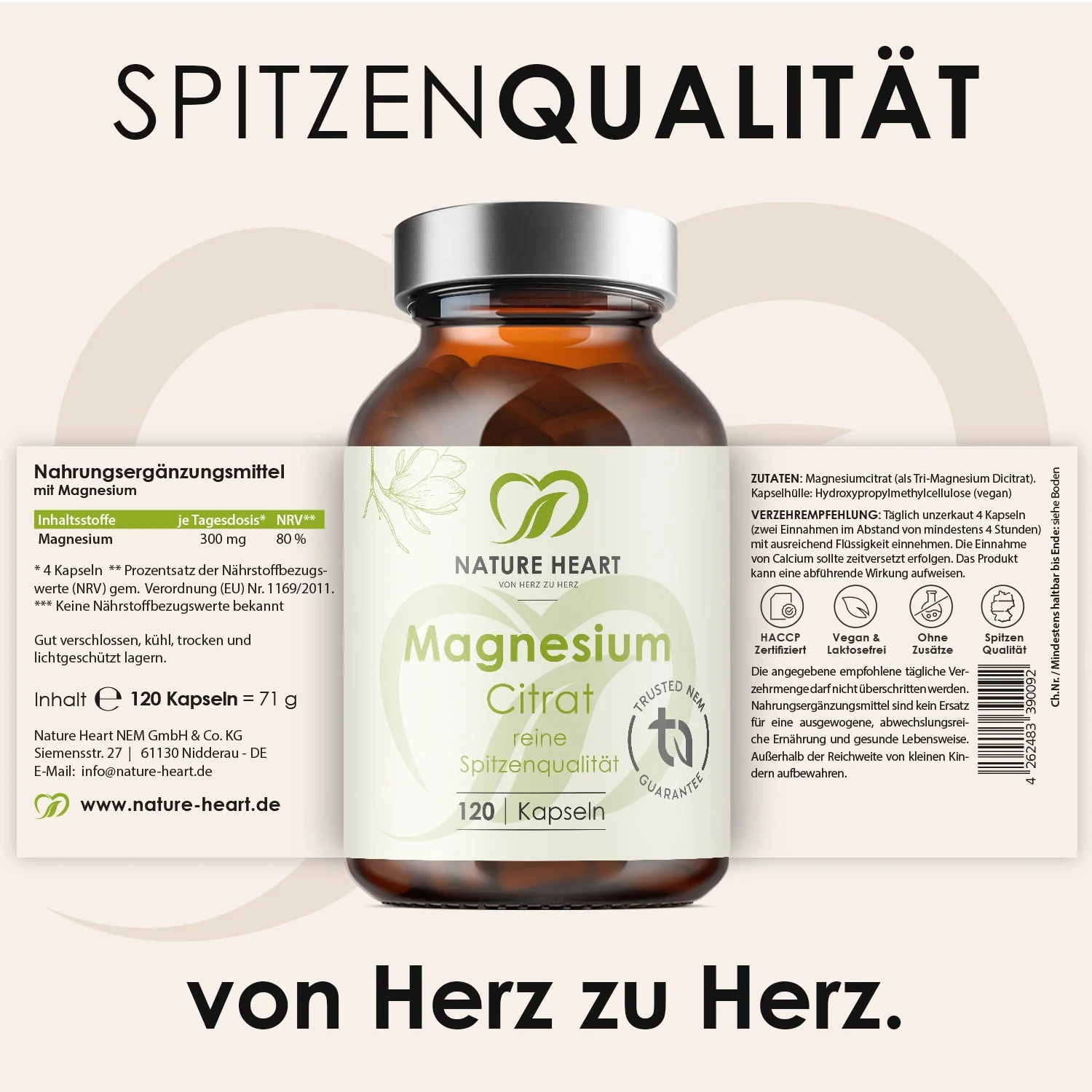 Vorschaubild 5